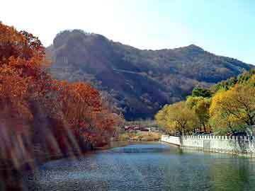 新澳天天开奖资料大全旅游团，穿越洪荒小说